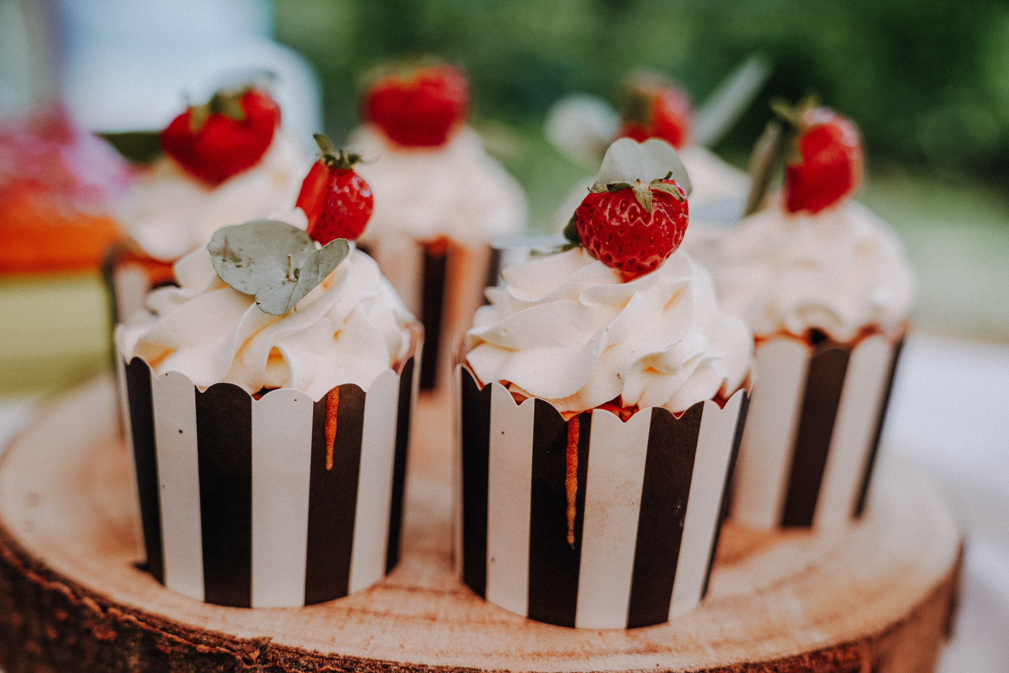Emotionale Hochzeitsfeier – natürliche Reportage im Hintergrund